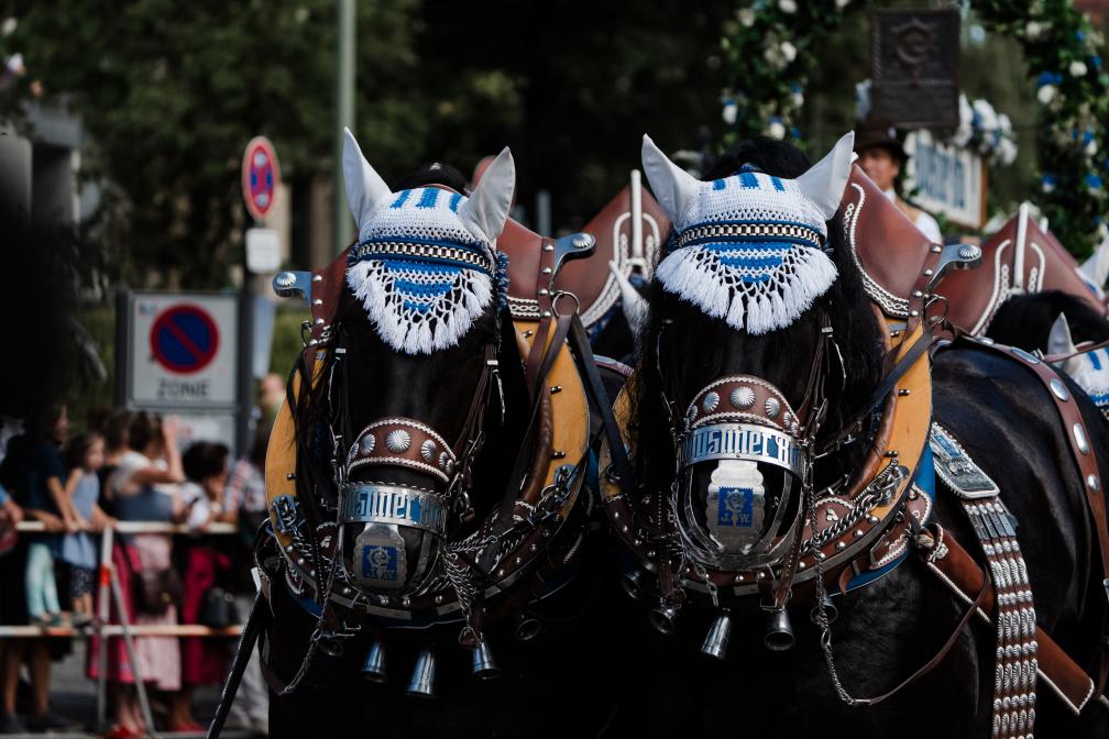 Parade Of The Oktoberfest Landlords And Breweries 2024 Oktoberfest De   17.09.2023 Traschuzug 247 