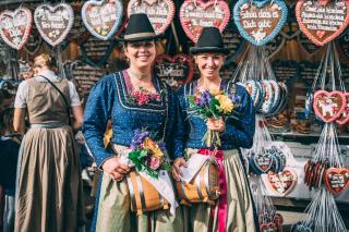 Dirndl costume top